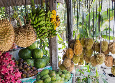 Circuit Essence de Bali - 7