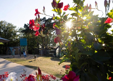 Camping Sites et Paysages - Les Hirondelles, 4* - 17