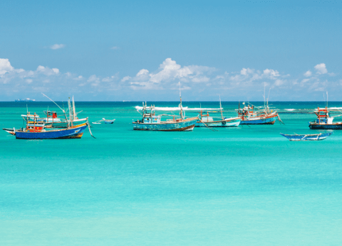 Circuit Dame Nature de Ceylan... for Women Only - 25