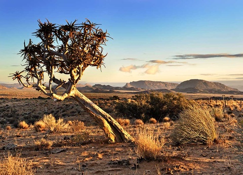 Circuit L'Afrique grandeur nature : déserts, canyons et grands espaces - 16