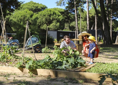 Camping Odalys Tamarins Plage - Arrivées à partir de Mai - 9