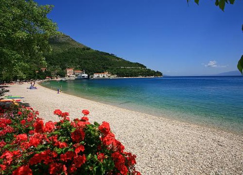 Club Jumbo Quercus 3* sup - 2