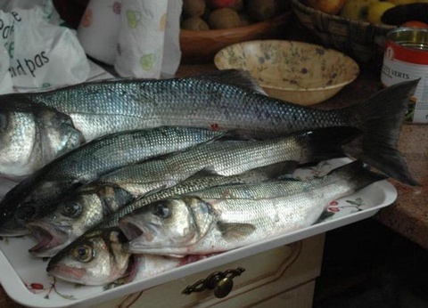 Flower Camping le Kergariou, 3* - 80