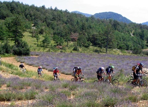 Camping Les Princes D'Orange - Ciela Village, 4* - 29