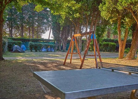 Camping Les Avignon - La Laune, 3* - 39