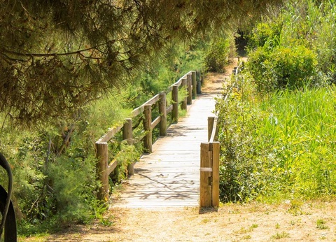 Gitavillage Club degli Amici - 9