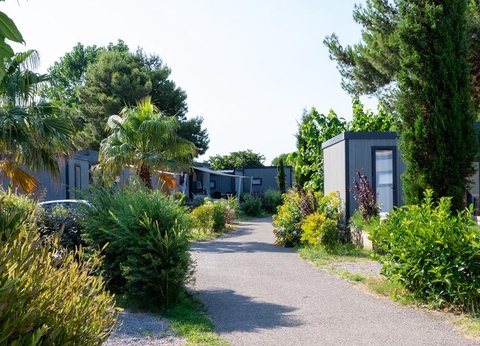 Camping Domaine Les Mûriers, 4* - 7