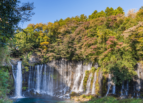 Circuit Merveilles Nippones et Tokyo à sa guise - 15