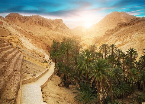 Hôtel Golden Yasmin Ras El Ain - 10