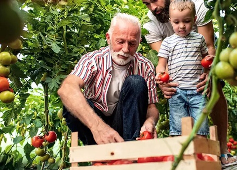 La Clape Village 5* - 45