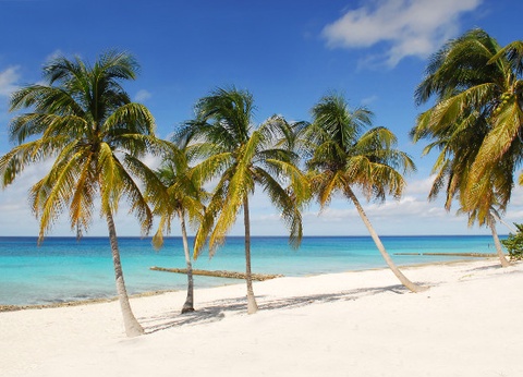 Combiné hôtels Magie de La Havane et sables de Varadero - 14