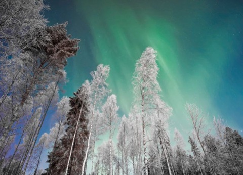 Circuit Symphonie blanche : à la découverte des 3 Laponies - 8