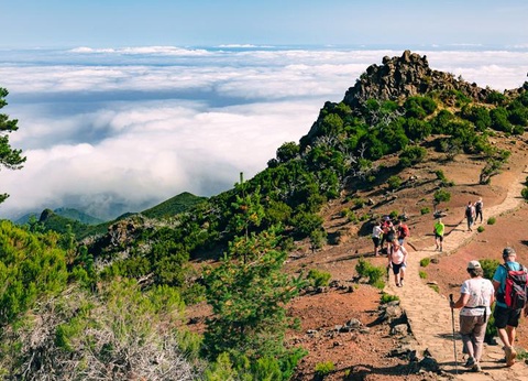 Circuit Joyaux de Madère - Hôtel Do Centro 3* - 19