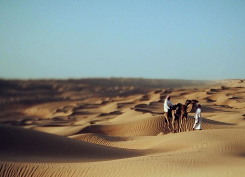 Circuit Paysage d Oman - 5