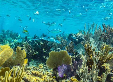 Combiné hôtels Éternelle Louxor aux récifs d'Hurghada 5* - 12