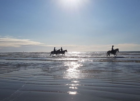 Camping Le Saint Laurent, 3* - 17