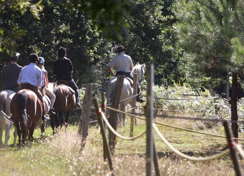 Camping Sea Green Domaine de La Forge, 4* - 16