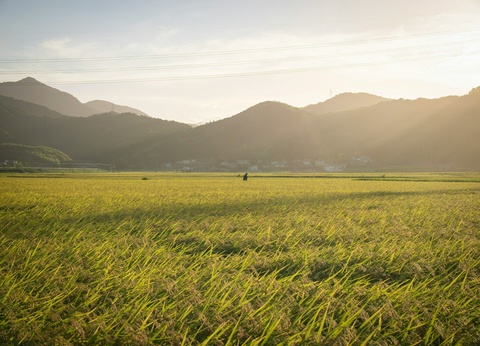 Autotour Japon : Incontournables & Terres Mystérieuses en 3* - 5