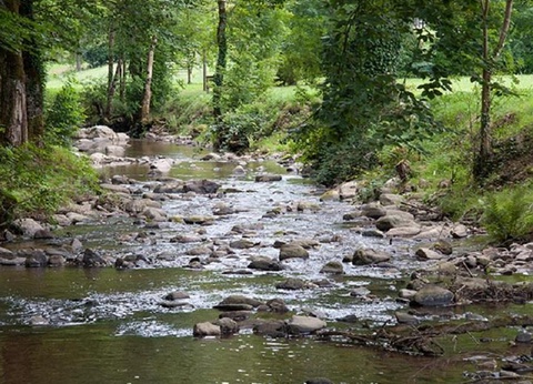 Village Vacances Les Chalets de la Gazonne, 2* - 49