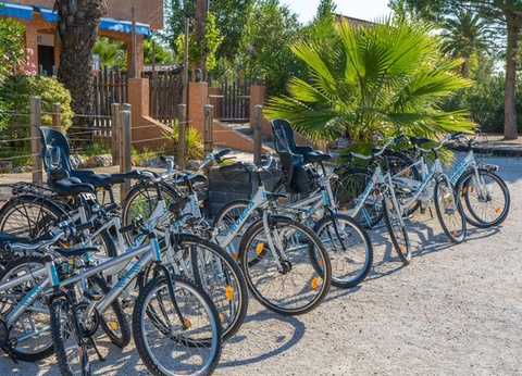 Camping l'Etoile de Mer 4* - 35