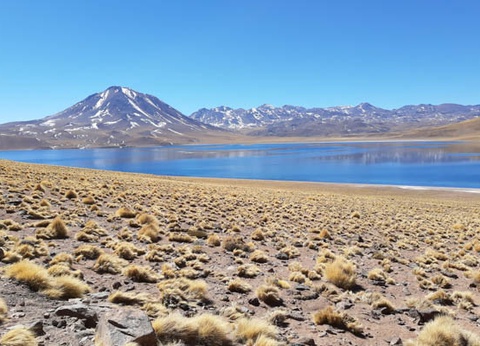 Circuit Chili, des Andes aux moais de l'Île de Pâques (maximum 16 participants) - 6