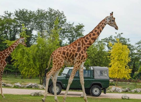 Villenpark Sanghen, 4* - 49