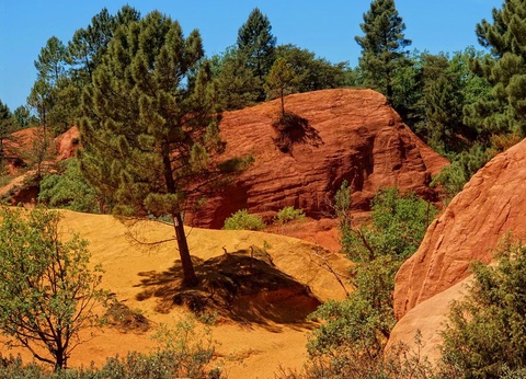 CAMPASUN Etang De La Bonde 3* - 24