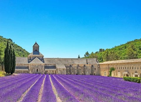 Séjour avec entrées au parc Spirou 4* avec petit-déjeuner à Cavaillon - 3* - 21