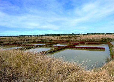 Camping Domaine de Bréhadour, 4* - 31