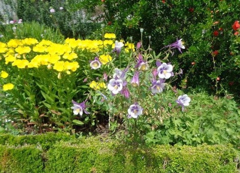 Camping la Ripole, 3* - 22