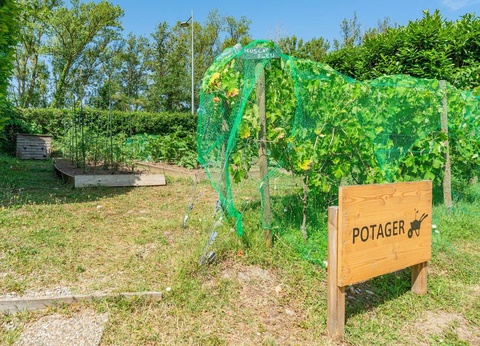 Camping L'Île du Rhin, 3* - 13