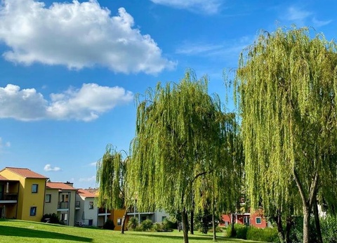 Belvedere Village - 30
