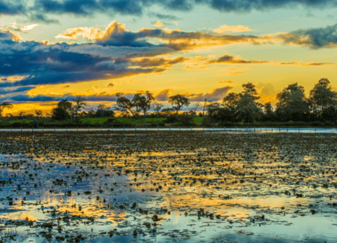Circuit Baianas et Cariocas, Trésors du Brésil et Plaines du Pantanal - 24