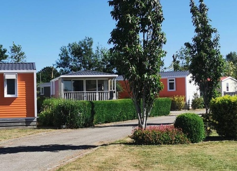 Flower Camping Vitamin, 4* - 14