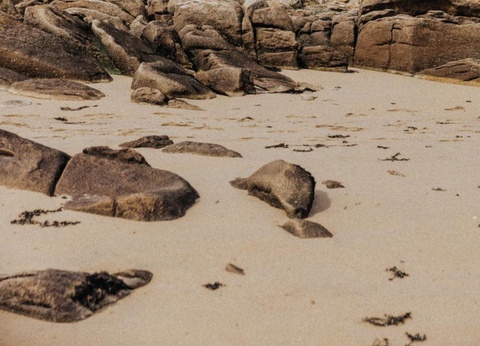 Camping du Port 4* - 45