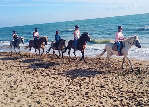 Camping Le Marais Neuf, 3* - 28