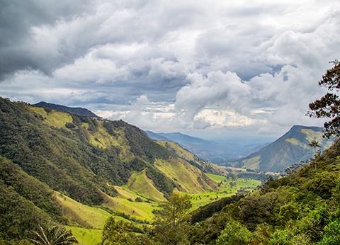 Circuit privatif Fascinante Colombie 10J/8N - 9