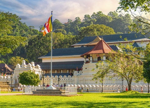 Combiné circuit et hôtel Club Jumbo Amethyst 4* - 13