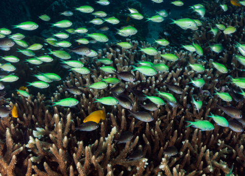 Circuit Aventures en Famille à Bali 4* - 13