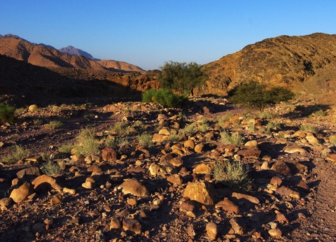 Circuit Aventure Jordanienne - 6