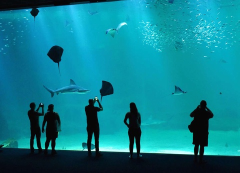 Séjour familial avec entrée à l'Aquarium Nausicaa - 3* - 14