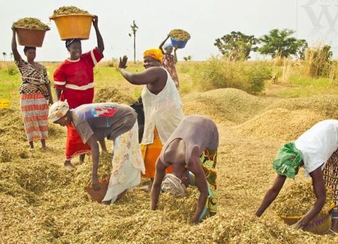 Circuit Privilège Sénégal en privatif - 6