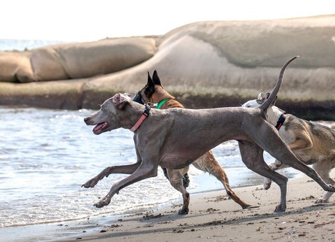 Camping Merendella, 4* - 68