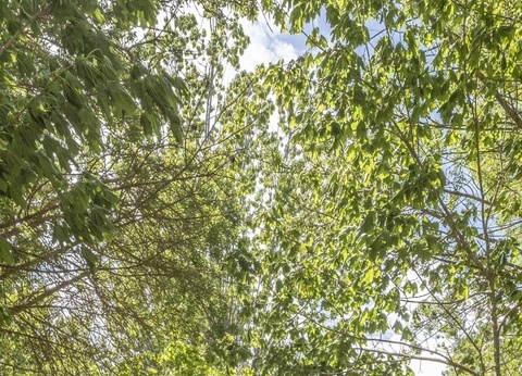 Wecamp Santa Cristina - 9