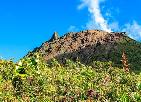 Autotour Trilogie créole en liberté - 33