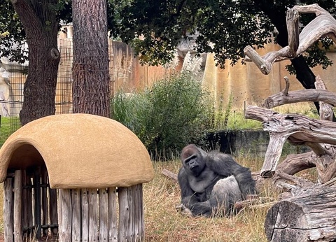 Camping du Petit Pont, 3* - 37