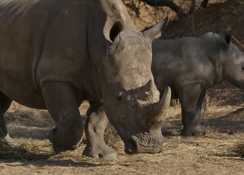 Sur la piste des Zoulous 3* avec extension réserve privée - 16