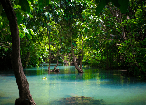 Circuit Epopée en Indochine en privatif - 13