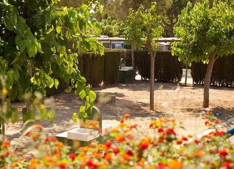 Camping Stel - Roda de Bara, 4* - 39