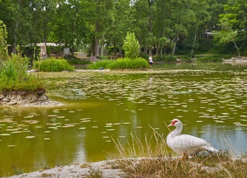 Camping Le Parc des Allais, 3* - 18